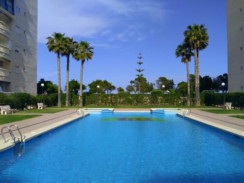 Swimming pool, Swimming pool