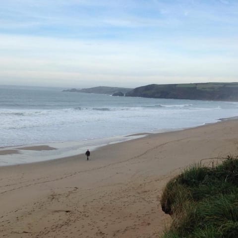 Camellia Chalet Chalet in England