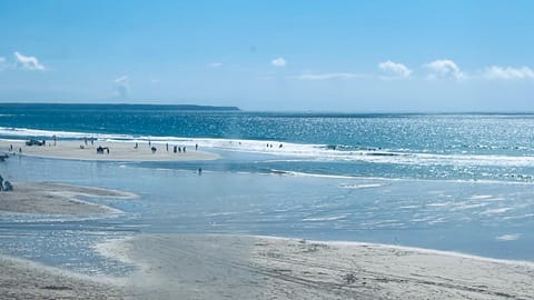 Camellia Chalet Chalet in England