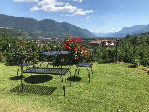 Natural landscape, Garden, Garden view