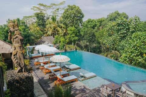 Natural landscape, View (from property/room), Pool view, Swimming pool