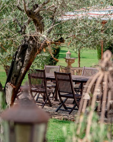 Spring, Day, Garden, Dining area, Garden view