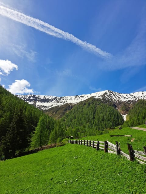 Maxerhütte auf der Alfenalm House in Trentino-South Tyrol