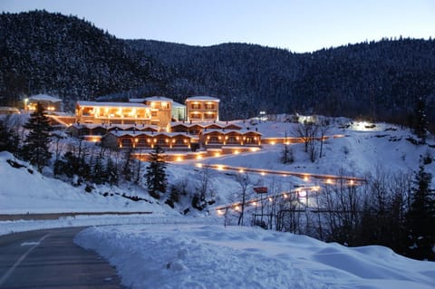 Property building, Winter