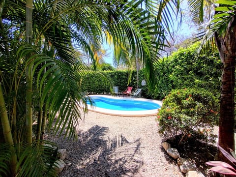 Garden, Garden view, Pool view, Swimming pool