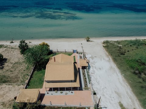 Garden, Beach, Beach