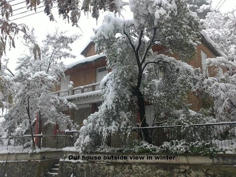 Winter