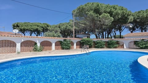 Garden, Garden view, Pool view, Swimming pool