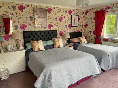 Bed, Photo of the whole room, Bedroom