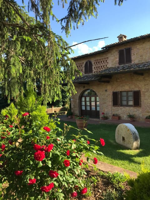 Spring, Garden, Garden