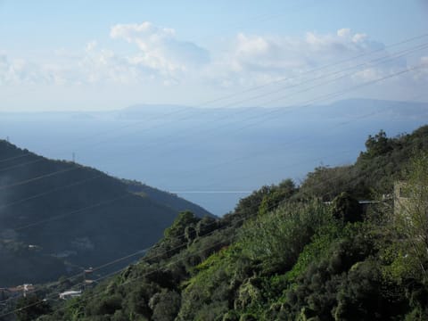 View (from property/room), View (from property/room)