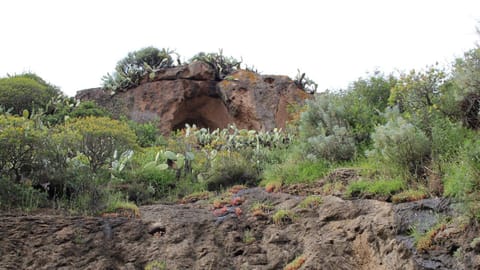 B&B Bassu Bed and Breakfast in Bosa