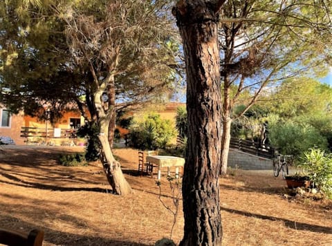 Il Lentischio del Sinis Farm Stay in Sardinia