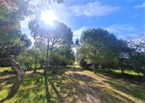 Il Lentischio del Sinis Farm Stay in Sardinia