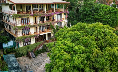 Property view