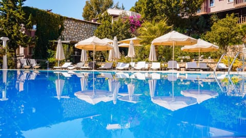 Garden, Swimming pool