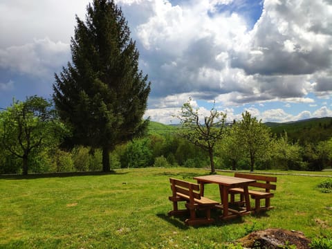 Garden, Garden view, Mountain view