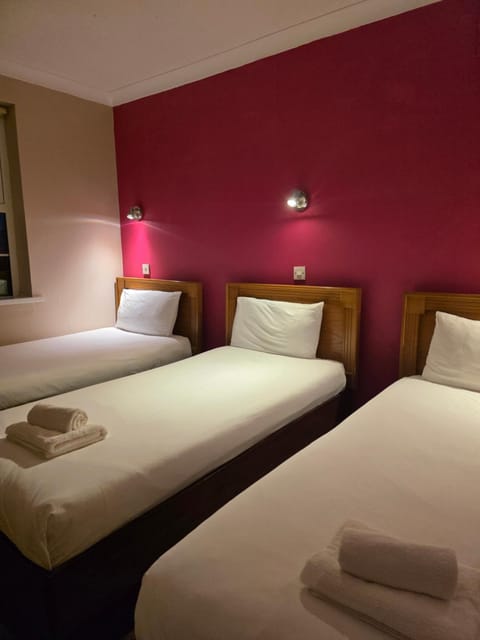 The Bailey Gastro Bar & Inn Inn in Athlone