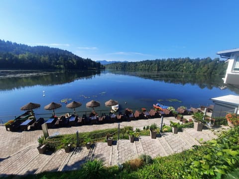 Lake view