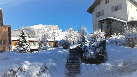 Property building, Facade/entrance, Neighbourhood, Winter, Garden view, Mountain view