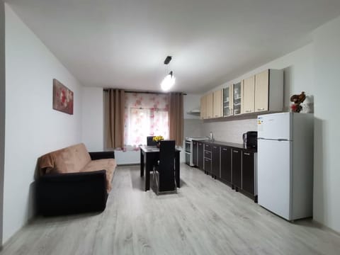 Mario Apartament regim hotelier Apartment in Timiș County