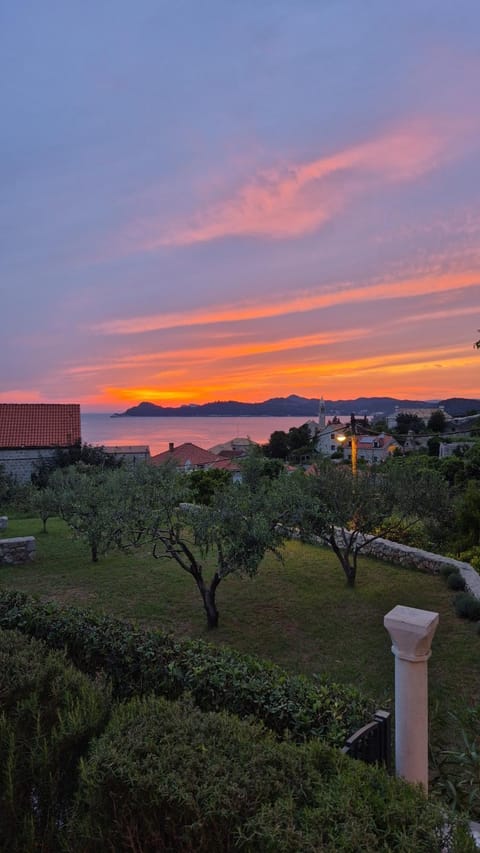 View (from property/room)