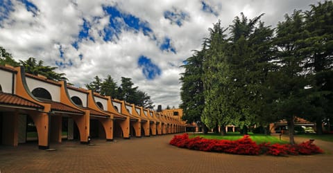 Property building, Garden