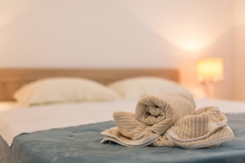 Studio Villa Ivka Apartment in Lika-Senj County