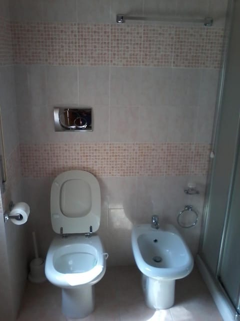 Shower, Toilet, Bathroom, bidet