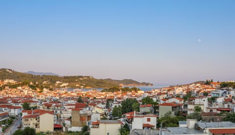 Neighbourhood, View (from property/room), City view, Landmark view, Mountain view, Street view