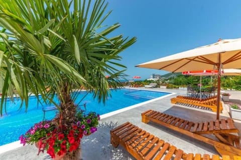 Day, Garden, Swimming pool