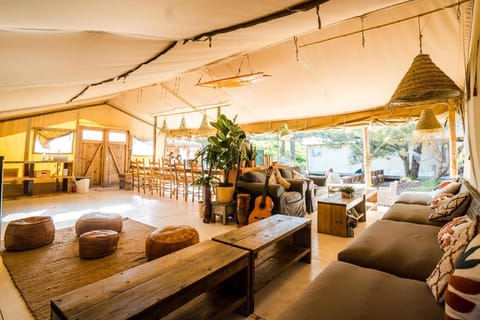 Lounge or bar, Seating area, Dining area, Area and facilities