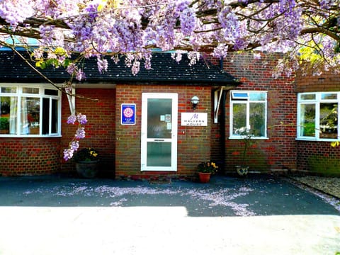 Facade/entrance, Spring