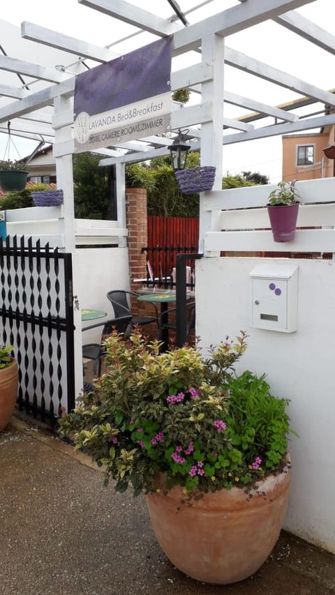 Property building, Garden view