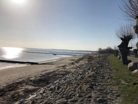 Redewischer Str.23e Apartment in Boltenhagen