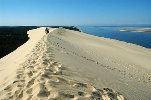 Natural landscape, Activities