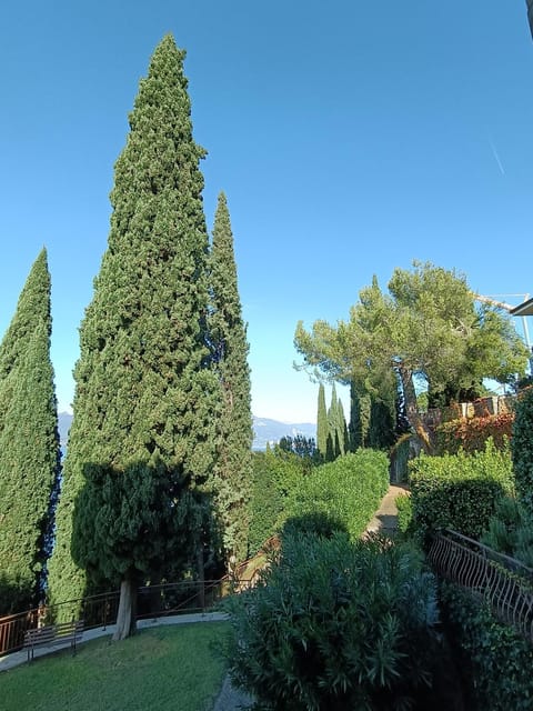 Bellavista Eremitaggio Apartment in Torri del Benaco