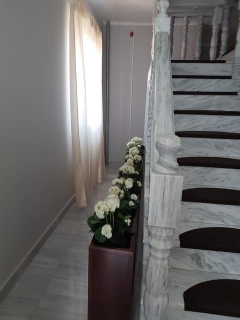 Golden Danube Bed and Breakfast in Vojvodina