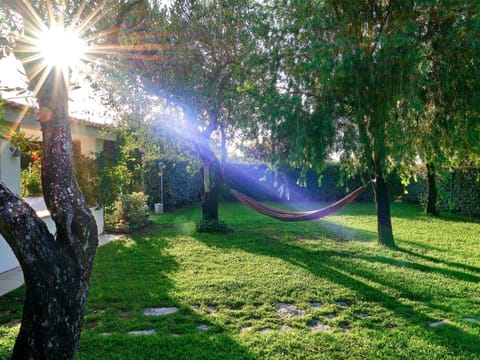 Garden, Garden view, Area and facilities