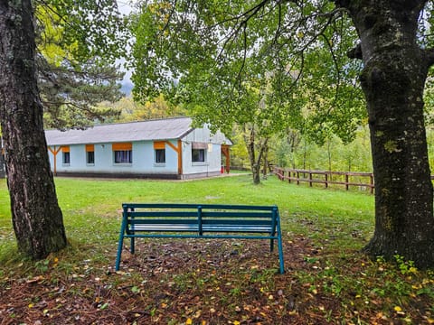Property building, Spring, Day, Natural landscape, Garden, Garden view