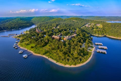 Bird's eye view, Lake view