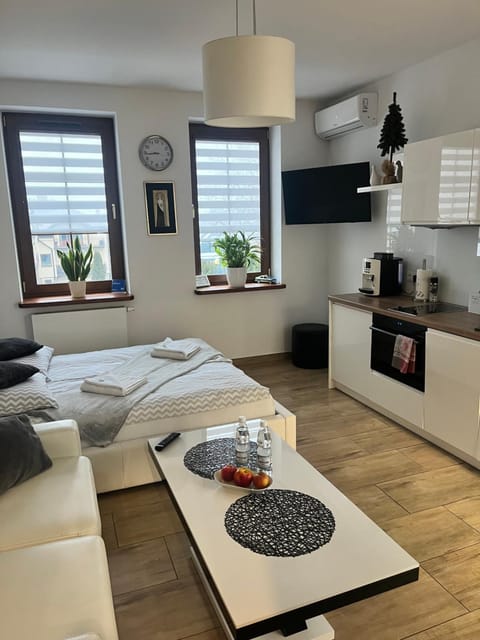 Kitchen or kitchenette, Living room, Photo of the whole room, Seating area, Dining area, Bedroom, pet friendly, stove