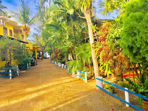 Property view