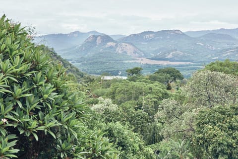 Natural landscape, Mountain view