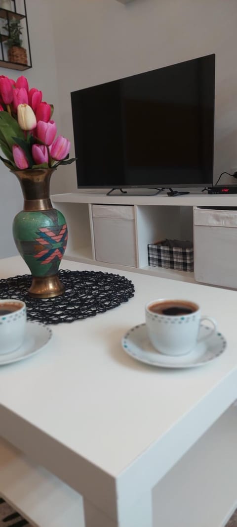 Cute little apartment Apartment in Belgrade