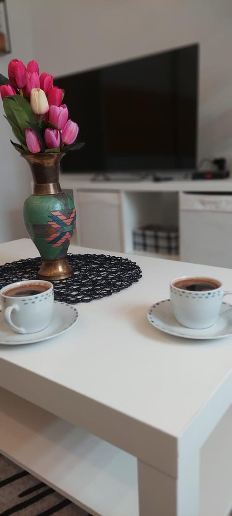 Cute little apartment Apartment in Belgrade