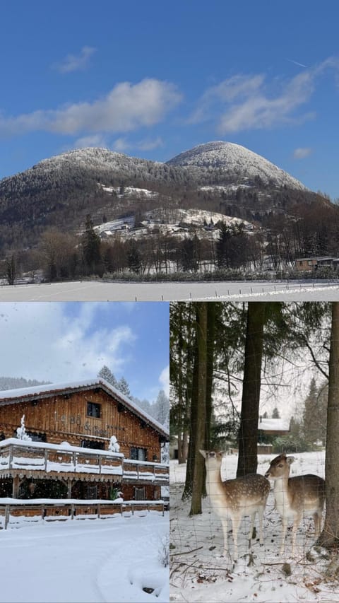 Chalet le Bô & Spa Chalet in Vosges