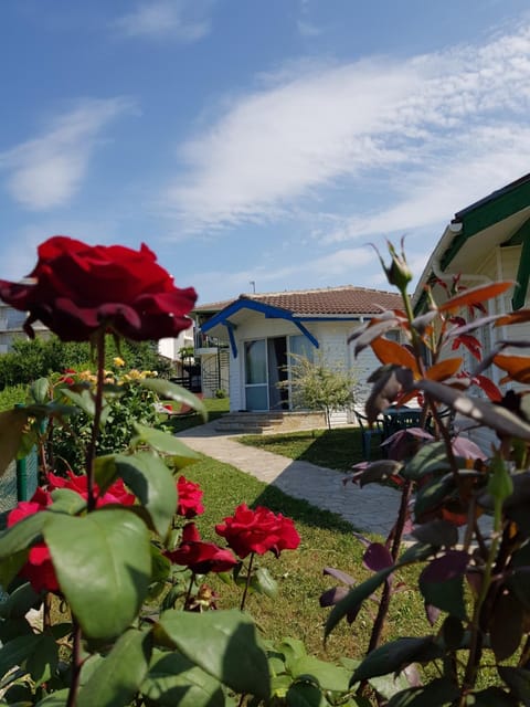 Facade/entrance, Garden, Garden view