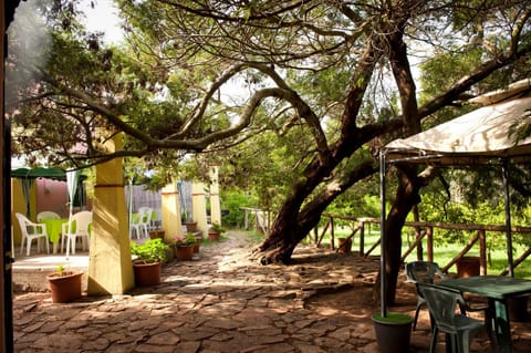 Activities, Garden, Garden, Balcony/Terrace