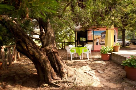 Property building, Activities, Garden, Balcony/Terrace, Decorative detail, Entertainment